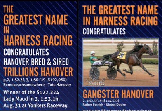 Trillions and Gangster Hanover